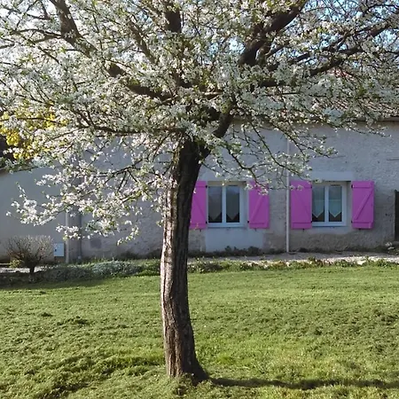 Villa Tamaris