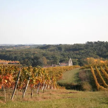 Villa Tamaris Saint-Pierre-de-Buzet