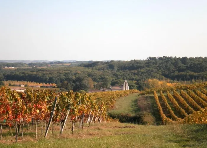 فيلة Tamaris Saint-Pierre-de-Buzet